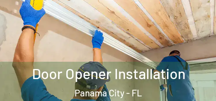  Door Opener Installation Panama City - FL