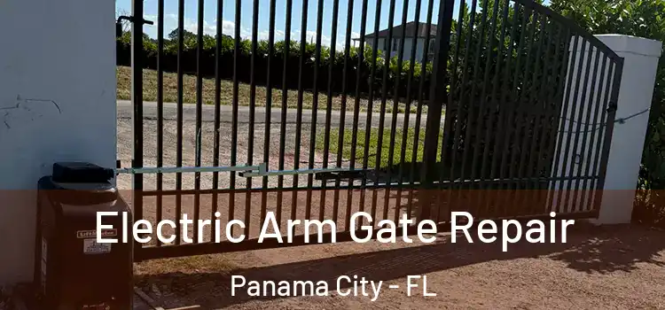 Electric Arm Gate Repair Panama City - FL