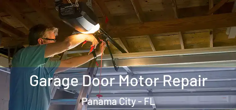  Garage Door Motor Repair Panama City - FL
