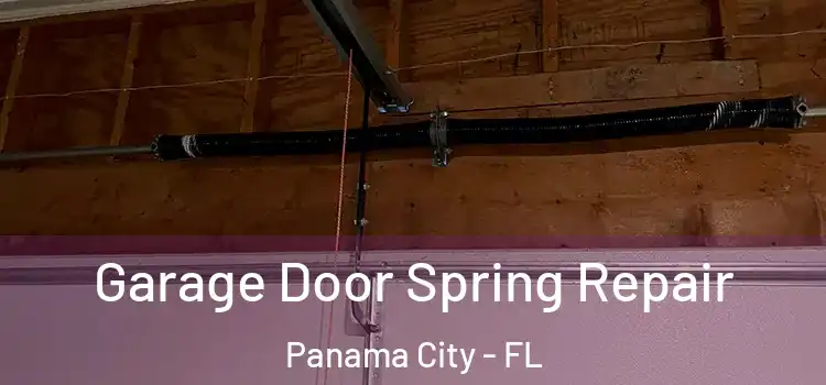  Garage Door Spring Repair Panama City - FL